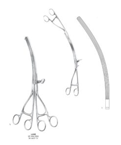 Lane Stomach Twin Clamp, 30Cm , Curved (SS-262-3054)