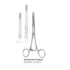 Rochester-Carmalt Artery Forceps, Str, 16Cm  (SS-60-915)