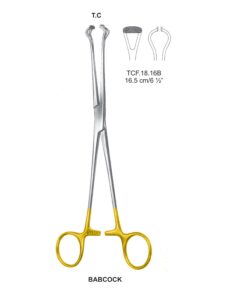 Tc-Babcock Intestinal Tissue Forceps 16.5Cm (Tcf.18.16B)