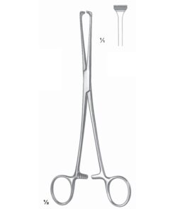 Allis Artery Forceps Straight 15.5Cm Atrauma (D-057-15)