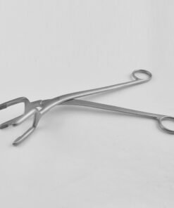 Pye-Smith (Harrison) Sterilizing Forceps, 25Cm (SS-428-5001)