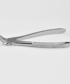 English Pattern Lower Roots Either Side Extracting Forceps  Fig.31 (SS-84-6825)