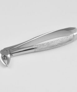 English Pattern Lower Roots Slender Pattern, Extracting Forceps  Fig.33C (SS-85-6829)