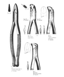 Woodward, Lower Molars, American Pattern, Extracting Forceps, Fig. 3Fs (SS-100-6908)