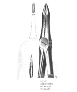 English Pattern Upper Roots Either Side, Extracting Forceps  Fig.41 (SS-86-6831)