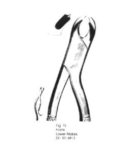 18R Harris 1St And 2Nd Upper Molar Right (Ht-24-1496)
