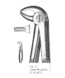 151 Lower Incisors Cuspids Bicuspids (Ht-24-1522)