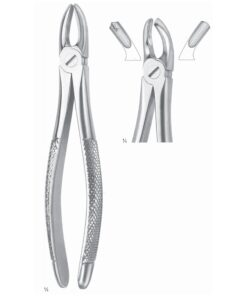 Extracting Forceps Molars, Right Fig 17 (M-004-17)