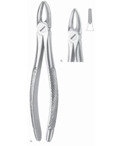 Extracting Forceps Roots And Incisors Fig 29 (M-007-29)