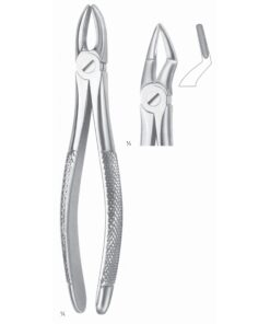 Extracting Forceps Roots Fig 51 (M-010-51)