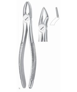 Extracting Forceps Roots Fig 51 A (M-011-51A)