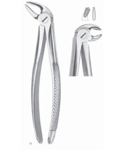 Extracting Forceps Molars, Right Fig 23 (M-021-23)
