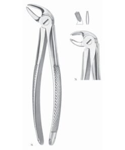 Extracting Forceps Molars, Left Fig 24 (M-022-24)