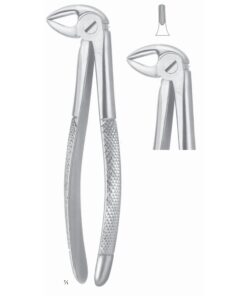 Extracting Forceps Roots Fig 33 (M-023-33)