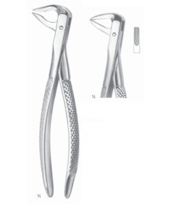 Extracting Forceps Cuspids And Biscuspids Fig 75 (M-032-75)
