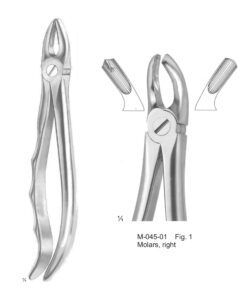 Extracting Forceps Molars, Right Fig 1 (M-045-01)