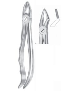Extracting Forceps Roots Fig 51 (M-051-51)