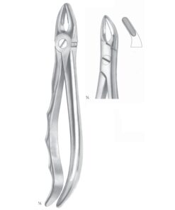 Lawrence-Read Extracting Forceps Roots Fig 76 (M-055-76)