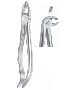 Extracting Forceps Molars, Right Fig 23 (M-062-23)