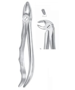 Extracting Forceps Molars, Left Fig 24 (M-063-24)