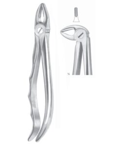 Extracting Forceps Roots Fig 33 (M-064-33)