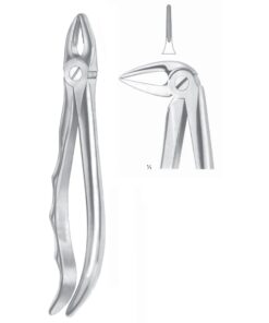 Extracting Forceps Roots, Slender Jaw Fig 33 M (M-066-33M)