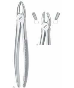 Extracting Forceps Molars, Right Fig 17 (M-084-17)