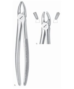 Extracting Forceps Molars, Left Fig 18 (M-085-18)