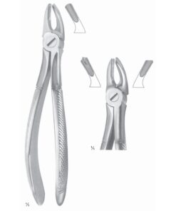 Extracting Forceps Molars, Right Fig 39 R (M-106-39R)