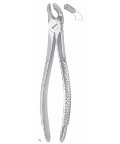 Extracting Forceps Lower Jaw Fig 40 (M-109-40)