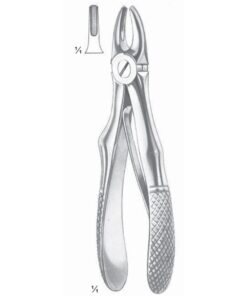 Klein Extracting Forceps Upper Incisors (M-110-01)