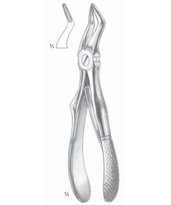 Klein Extracting Forceps Upper Roots (M-113-04)