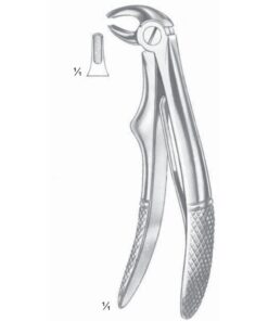Klein Extracting Forceps Lower Incisors (M-114-05)