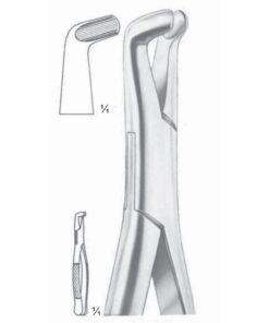 Extracting Forceps Lower Third Molars Fig 222 (M-135-222)
